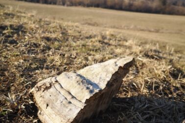 IMG_20210306_152035_resized_20210306_111841917