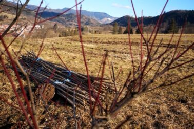 IMG_20210306_152229_resized_20210306_111900430