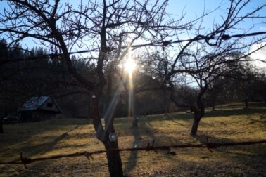 IMG_20210306_153404_resized_20210306_111924149