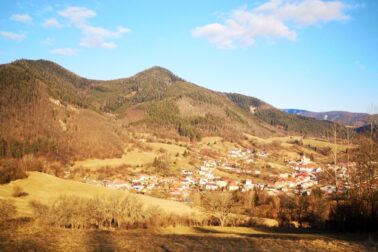 IMG_20210306_153918_resized_20210306_112029861