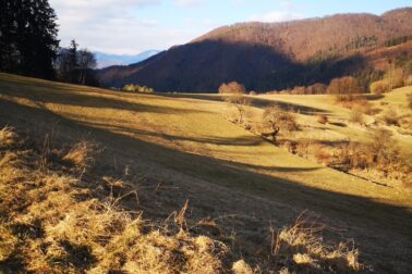 IMG_20210306_153940_resized_20210306_112049015