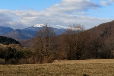 IMG_20210306_154831_resized_20210306_112130109