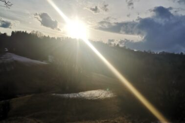 IMG_20210313_164005_resized_20210314_122101500