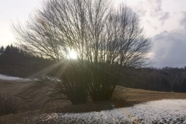 IMG_20210313_164121_resized_20210314_122040767