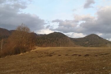 IMG_20210313_164434_resized_20210314_122021614