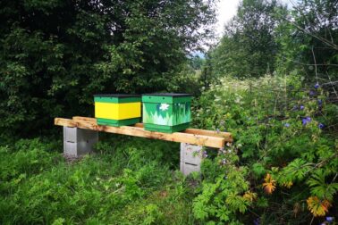 Pomozte svojej komunite_ilustr2