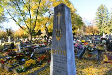 jan botto