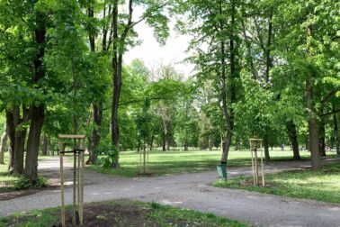 mestský park 2