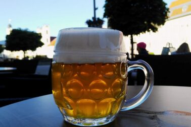 pivo