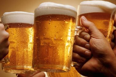 pivo6