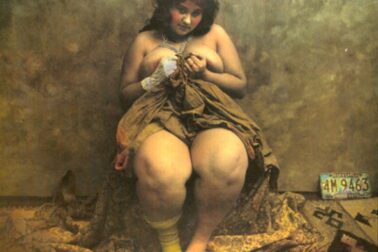 saudek6