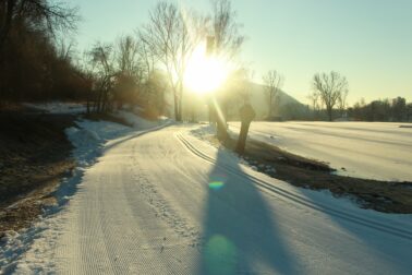 271732384_1416845435377358_2632069826712920471_n