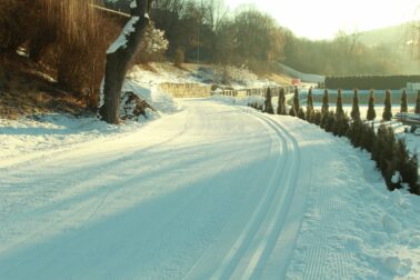 271845923_1416845408710694_8623925386541709772_n