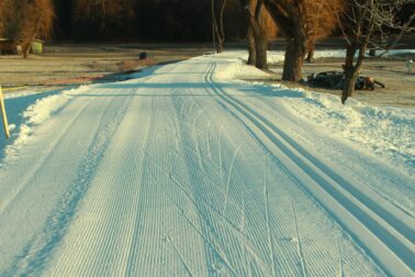 271862195_1416845592044009_5427409867274171100_n