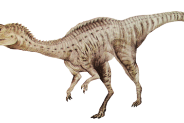 Dinosaurus