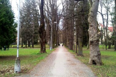 Mestský park1
