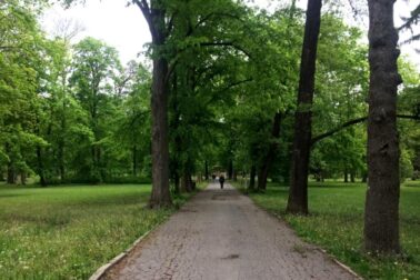 Mestský park2