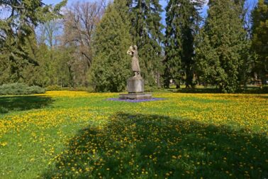Mestský park4