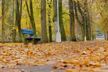Mestský park6