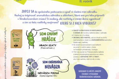 plagat ekoprojekt ssm
