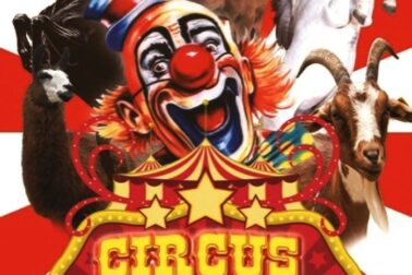 cirkus2