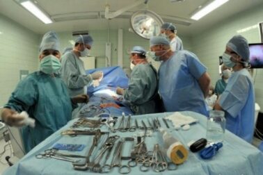transplantacia pecene2