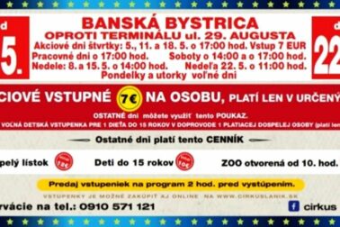 vstupenka