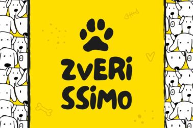 R4zqJdtw