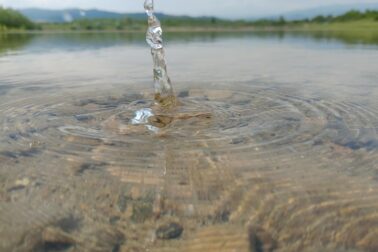 Terézia Bačová, kvapka-nadeje, Envirospektrum