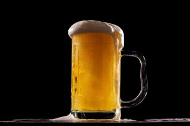 pivo1