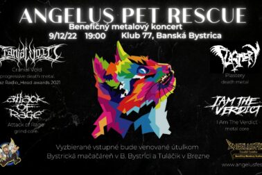 plagat angelus pet rescue