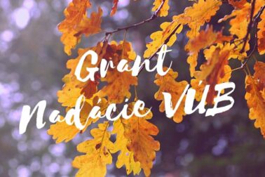 grant nadacie vub