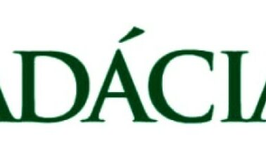 nadacia vub