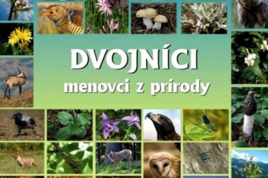 dvojnici