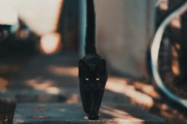 piatok1