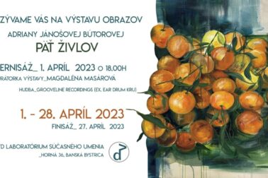 Pozvánka na_výstavu Päť_živlov