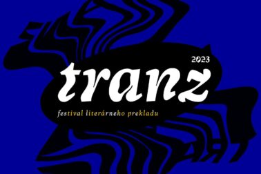 vizual festivalu