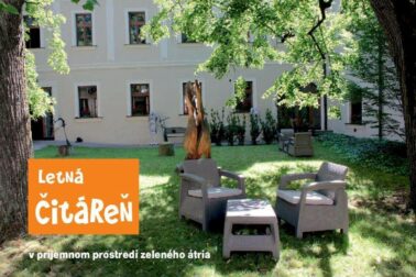 letna citaren1