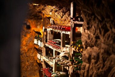 vino4