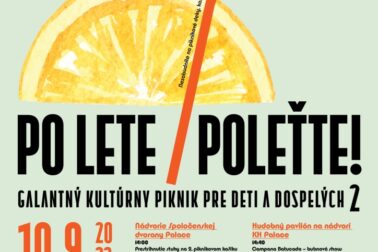 Po_lete_program