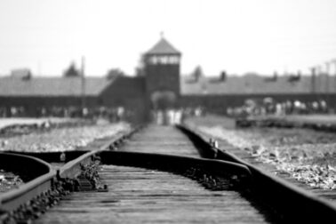 holokaust5