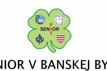 logo fit senior bb