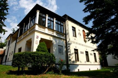 svetovy den cr5