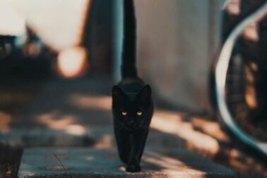 piatok2