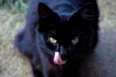 piatok3
