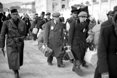 deportacie-zidov