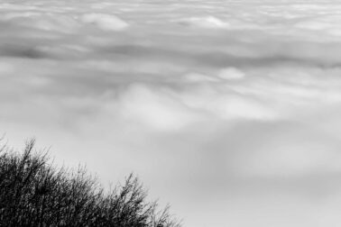 IMG_5469