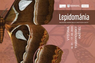 Lepodomania-plagat