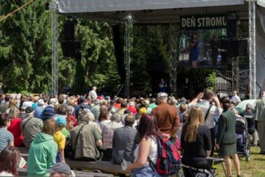 den-stromu