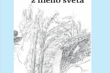 obalka knihy- Milujem z ineho sveta
